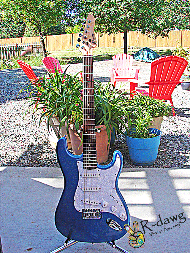 Picture of the Rdawg Blue Vintage Assembly Guitar